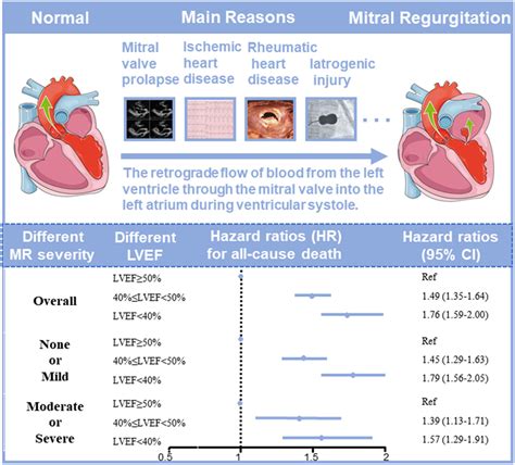 left ventricular ejection fraction lvef.